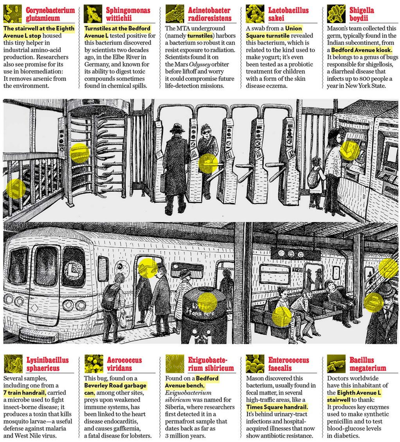 Illustration for article titled Tele van a metrĂł undorĂtĂł bacilusokkal